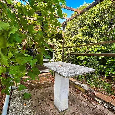 Appartement Maison Authentique A - Jardin & Garage