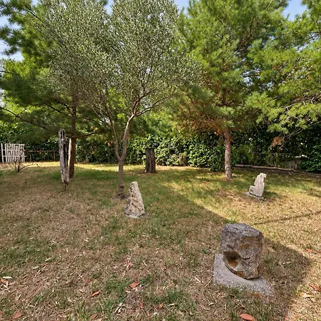Appartement Maison Authentique A - Jardin & Garage *